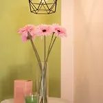 & Apartment *